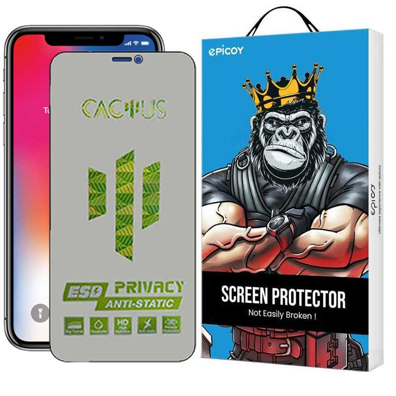 محافظ صفحه نمایش حریم شخصی اپیکوی مدل Cactus-ESD-Privacy مناسب برای گوشی موبایل اپل iPhone 11 – XR_678dab0496340.png