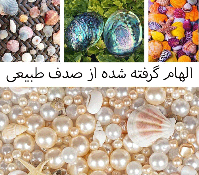 قاب الهام گرفته شده ار صدف