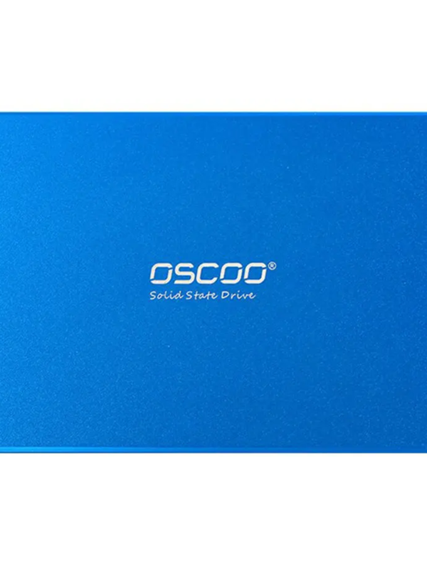 هارد اس اس دی اینترنال اوسکو مدل BLUE OSC-SSD-001 ظرفیت 256 گیگابایت