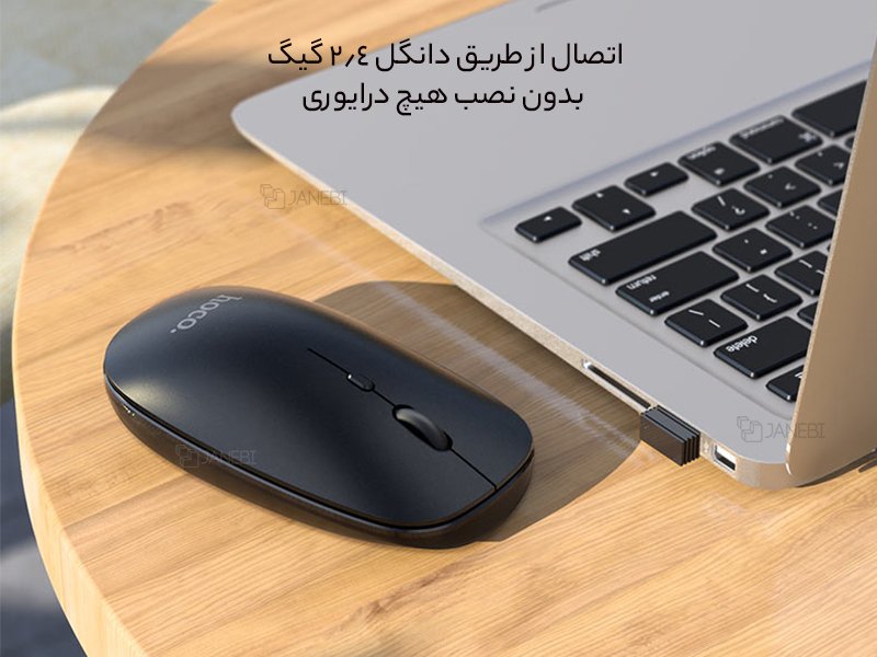 دانگل و موس