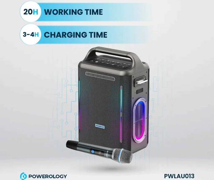 اسپیکر وایرلس با میکروفون